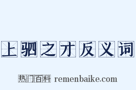 上驷之才反义词是什么意思的图片